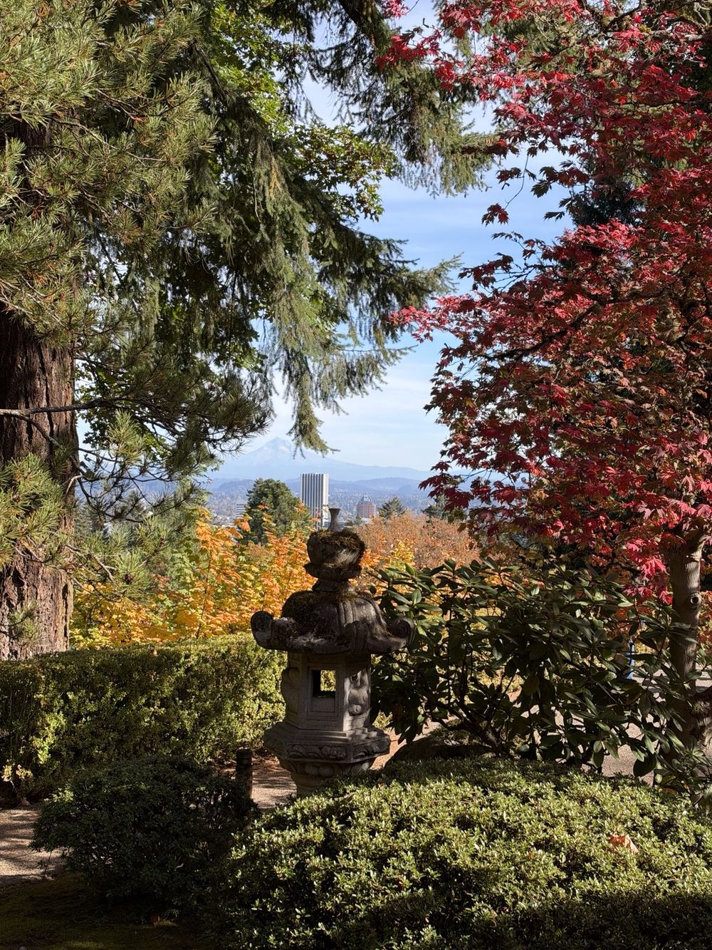 Japanese stone lantern framed by bright red maples and autumn foliage